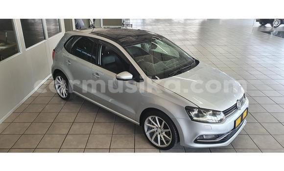 Buy Used Volkswagen Polo Silver Car in Beitbridge in Matabeleland South Buy Used Volkswagen Polo Silver Car in Beitbridge in Matabeleland South