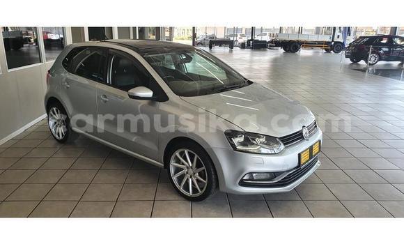 Buy Used Volkswagen Polo Silver Car in Beitbridge in Matabeleland South Buy Used Volkswagen Polo Silver Car in Beitbridge in Matabeleland South