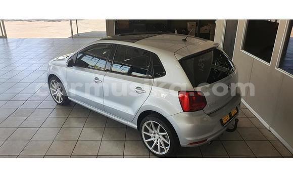 Buy Used Volkswagen Polo Silver Car in Beitbridge in Matabeleland South Buy Used Volkswagen Polo Silver Car in Beitbridge in Matabeleland South