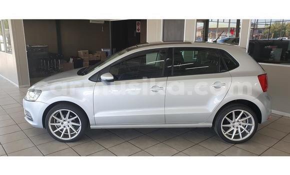 Buy Used Volkswagen Polo Silver Car in Beitbridge in Matabeleland South Buy Used Volkswagen Polo Silver Car in Beitbridge in Matabeleland South