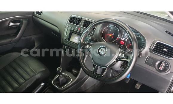 Buy Used Volkswagen Polo Silver Car in Beitbridge in Matabeleland South Buy Used Volkswagen Polo Silver Car in Beitbridge in Matabeleland South