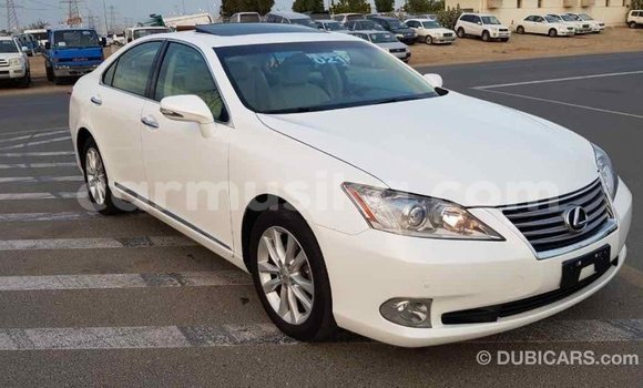 Acheter Import Voiture Lexus ES Blanc à Import - Dubai, Harare Acheter Import Voiture Lexus ES Blanc à Import - Dubai, Harare