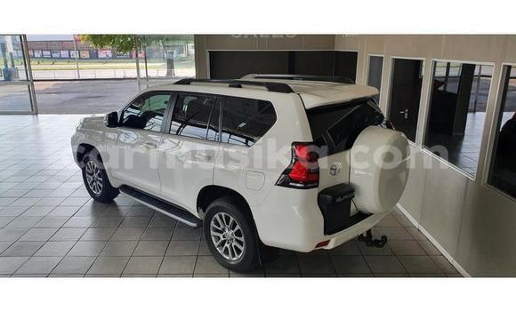 Nunua Ilio tumika Toyota Land Cruiser Prado Nyeupe Gari ndani ya Beitbridge nchini Matabeleland Kusini Nunua Ilio tumika Toyota Land Cruiser Prado Nyeupe Gari ndani ya Beitbridge nchini Matabeleland Kusini