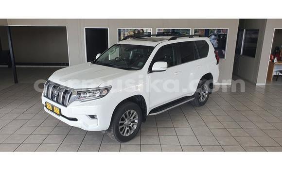 Nunua Ilio tumika Toyota Land Cruiser Prado Nyeupe Gari ndani ya Beitbridge nchini Matabeleland Kusini Nunua Ilio tumika Toyota Land Cruiser Prado Nyeupe Gari ndani ya Beitbridge nchini Matabeleland Kusini