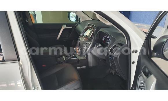 Nunua Ilio tumika Toyota Land Cruiser Prado Nyeupe Gari ndani ya Beitbridge nchini Matabeleland Kusini Nunua Ilio tumika Toyota Land Cruiser Prado Nyeupe Gari ndani ya Beitbridge nchini Matabeleland Kusini