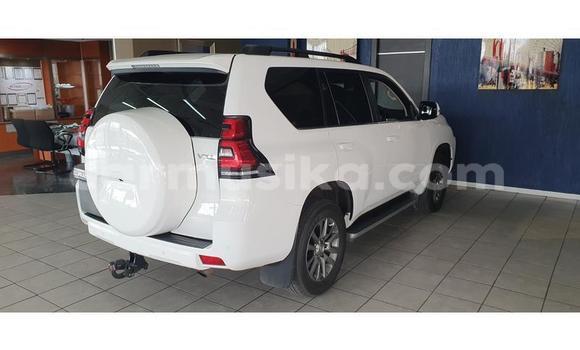 Nunua Ilio tumika Toyota Land Cruiser Prado Nyeupe Gari ndani ya Beitbridge nchini Matabeleland Kusini Nunua Ilio tumika Toyota Land Cruiser Prado Nyeupe Gari ndani ya Beitbridge nchini Matabeleland Kusini