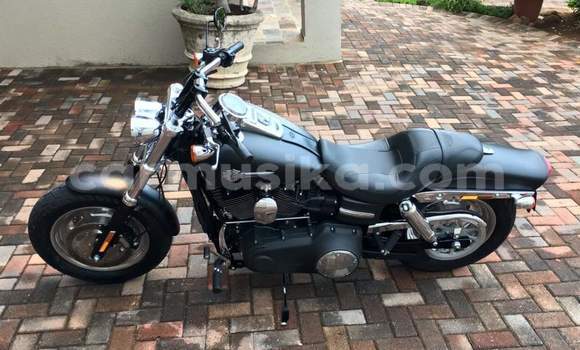 Tenga Tsaru Harley Davidson Dyna Nhema Bike in Harare in Harare Tenga Tsaru Harley Davidson Dyna Nhema Bike in Harare in Harare