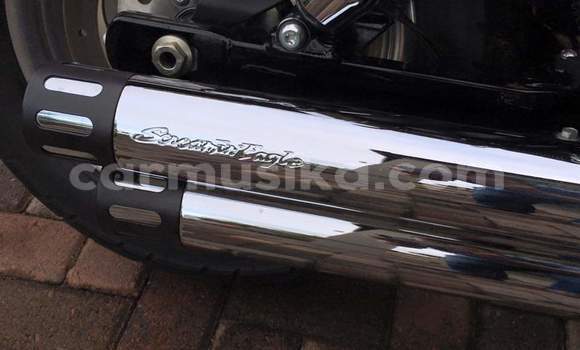 Tenga Tsaru Harley Davidson Dyna Nhema Bike in Harare in Harare Tenga Tsaru Harley Davidson Dyna Nhema Bike in Harare in Harare