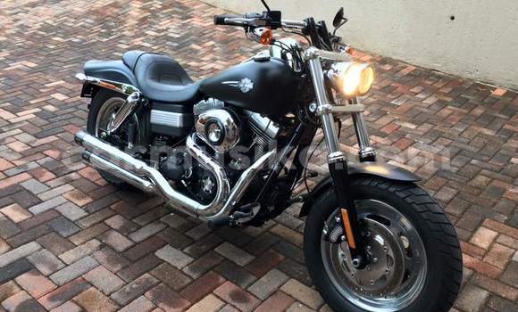 Tenga Tsaru Harley Davidson Dyna Nhema Bike in Harare in Harare Tenga Tsaru Harley Davidson Dyna Nhema Bike in Harare in Harare