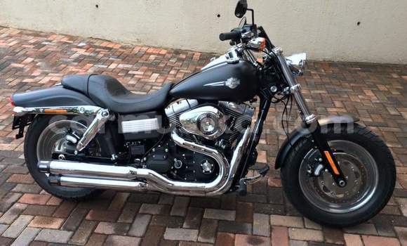 Tenga Tsaru Harley Davidson Dyna Nhema Bike in Harare in Harare Tenga Tsaru Harley Davidson Dyna Nhema Bike in Harare in Harare
