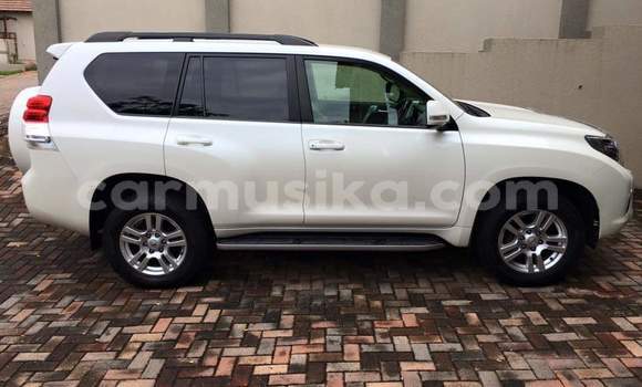Tenga Tsaru Toyota Land Cruiser Prado Chena Mota in Beitbridge in Matabeleland South Tenga Tsaru Toyota Land Cruiser Prado Chena Mota in Beitbridge in Matabeleland South