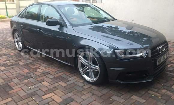 Tenga Tsaru Audi A4 Nhema Mota in Harare in Harare Tenga Tsaru Audi A4 Nhema Mota in Harare in Harare