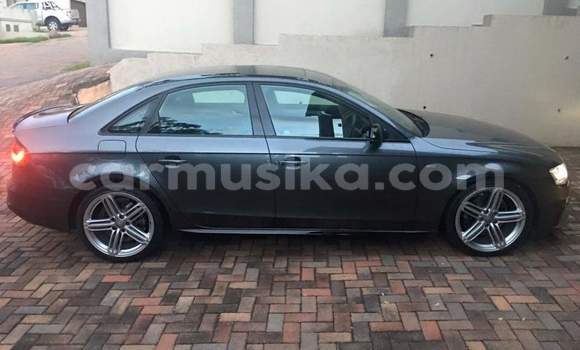Tenga Tsaru Audi A4 Nhema Mota in Harare in Harare Tenga Tsaru Audi A4 Nhema Mota in Harare in Harare