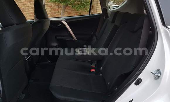 Tenga Tsaru Toyota RAV4 Chena Mota in Harare in Harare Tenga Tsaru Toyota RAV4 Chena Mota in Harare in Harare
