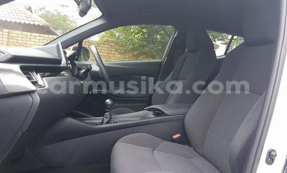 Tenga Tsaru Toyota C-HR Chena Mota in Harare in Harare Tenga Tsaru Toyota C-HR Chena Mota in Harare in Harare