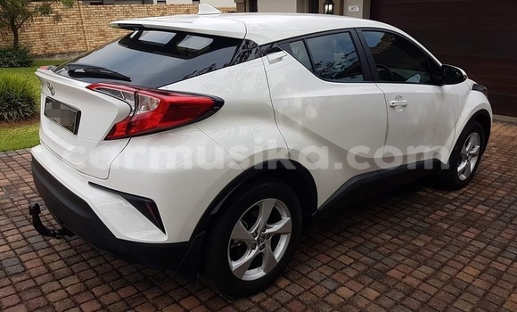 Tenga Tsaru Toyota C-HR Chena Mota in Harare in Harare Tenga Tsaru Toyota C-HR Chena Mota in Harare in Harare