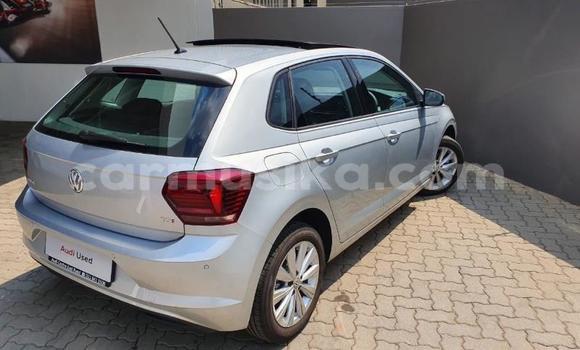 Buy Used Volkswagen Polo Silver Car in Beitbridge in Matabeleland South Buy Used Volkswagen Polo Silver Car in Beitbridge in Matabeleland South
