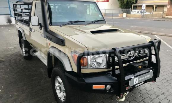 Acheter Occasion Voiture Toyota Land Cruiser Gris à Beitbridge, Matabeleland South Acheter Occasion Voiture Toyota Land Cruiser Gris à Beitbridge, Matabeleland South