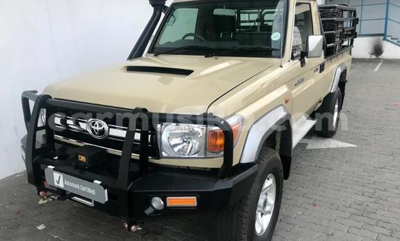 Acheter Occasion Voiture Toyota Land Cruiser Gris à Beitbridge, Matabeleland South Acheter Occasion Voiture Toyota Land Cruiser Gris à Beitbridge, Matabeleland South