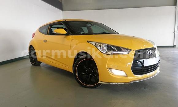 Tenga Tsaru Hyundai Tiburon Zvimwe Mota in Beitbridge in Matabeleland South Tenga Tsaru Hyundai Tiburon Zvimwe Mota in Beitbridge in Matabeleland South