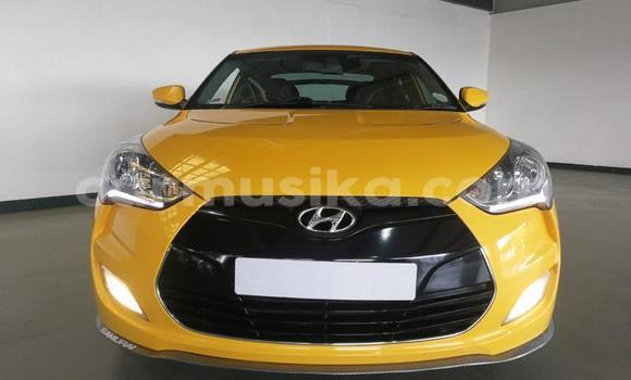 Tenga Tsaru Hyundai Tiburon Zvimwe Mota in Beitbridge in Matabeleland South Tenga Tsaru Hyundai Tiburon Zvimwe Mota in Beitbridge in Matabeleland South