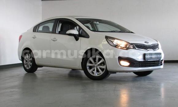 Buy Used Kia Rio White Car in Beitbridge in Matabeleland South Buy Used Kia Rio White Car in Beitbridge in Matabeleland South