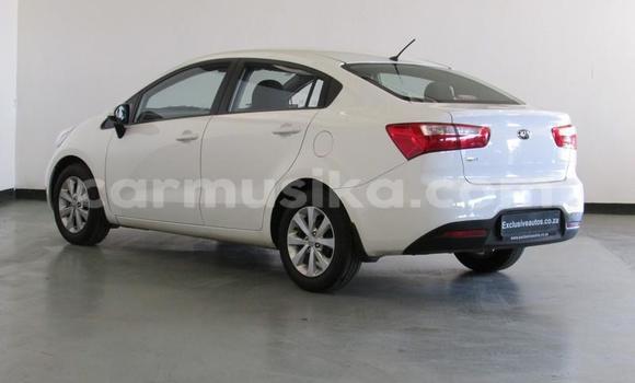 Buy Used Kia Rio White Car in Beitbridge in Matabeleland South Buy Used Kia Rio White Car in Beitbridge in Matabeleland South