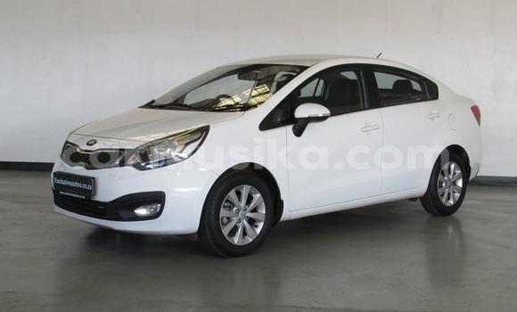 Buy Used Kia Rio White Car in Beitbridge in Matabeleland South Buy Used Kia Rio White Car in Beitbridge in Matabeleland South