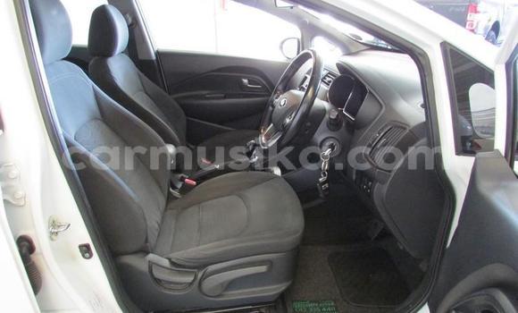 Buy Used Kia Rio White Car in Beitbridge in Matabeleland South Buy Used Kia Rio White Car in Beitbridge in Matabeleland South