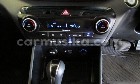 Acheter Occasion Voiture Hyundai Tucson Gris à Beitbridge, Matabeleland South Acheter Occasion Voiture Hyundai Tucson Gris à Beitbridge, Matabeleland South