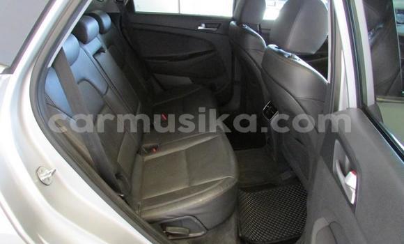 Acheter Occasion Voiture Hyundai Tucson Gris à Beitbridge, Matabeleland South Acheter Occasion Voiture Hyundai Tucson Gris à Beitbridge, Matabeleland South