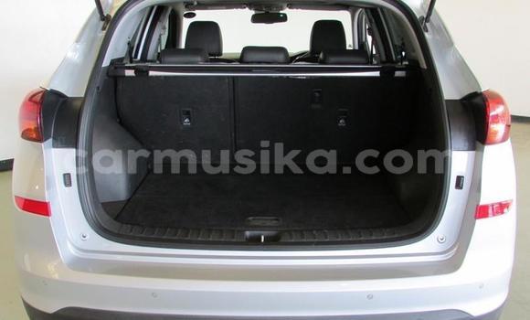 Acheter Occasion Voiture Hyundai Tucson Gris à Beitbridge, Matabeleland South Acheter Occasion Voiture Hyundai Tucson Gris à Beitbridge, Matabeleland South