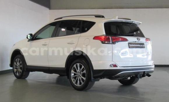 Nunua Ilio tumika Toyota RAV4 Fedha Gari ndani ya Beitbridge nchini Matabeleland Kusini Nunua Ilio tumika Toyota RAV4 Fedha Gari ndani ya Beitbridge nchini Matabeleland Kusini