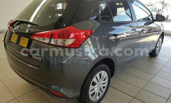 Buy Used Toyota Yaris Silver Car in Beitbridge in Matabeleland South Buy Used Toyota Yaris Silver Car in Beitbridge in Matabeleland South