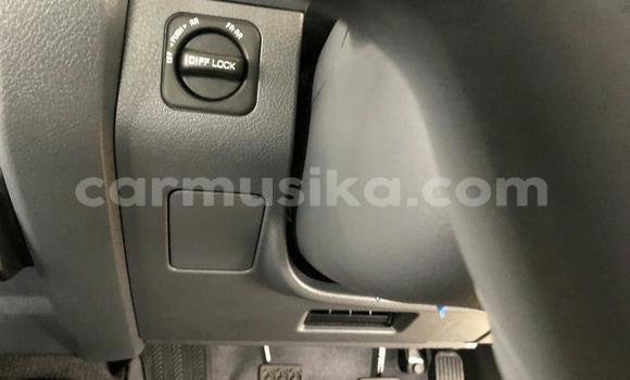 Acheter Occasion Voiture Toyota Land Cruiser Gris à Beitbridge, Matabeleland South Acheter Occasion Voiture Toyota Land Cruiser Gris à Beitbridge, Matabeleland South