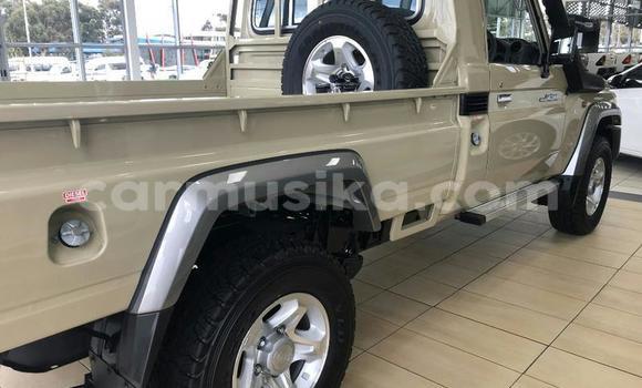 Acheter Occasion Voiture Toyota Land Cruiser Gris à Beitbridge, Matabeleland South Acheter Occasion Voiture Toyota Land Cruiser Gris à Beitbridge, Matabeleland South