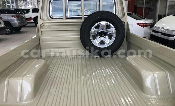 Acheter Occasion Voiture Toyota Land Cruiser Gris à Beitbridge, Matabeleland South Acheter Occasion Voiture Toyota Land Cruiser Gris à Beitbridge, Matabeleland South