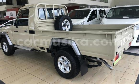 Acheter Occasion Voiture Toyota Land Cruiser Gris à Beitbridge, Matabeleland South Acheter Occasion Voiture Toyota Land Cruiser Gris à Beitbridge, Matabeleland South
