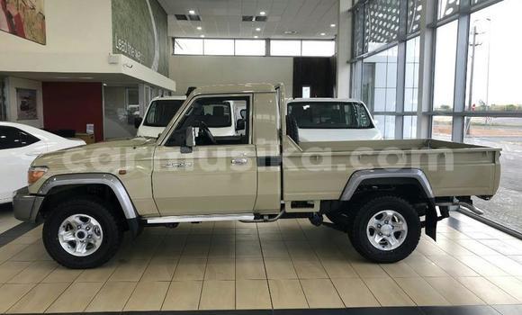 Acheter Occasion Voiture Toyota Land Cruiser Gris à Beitbridge, Matabeleland South Acheter Occasion Voiture Toyota Land Cruiser Gris à Beitbridge, Matabeleland South
