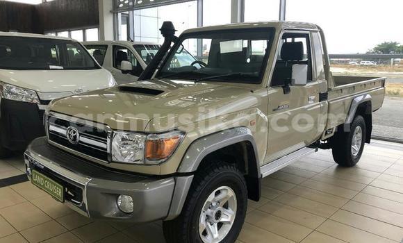 Acheter Occasion Voiture Toyota Land Cruiser Gris à Beitbridge, Matabeleland South Acheter Occasion Voiture Toyota Land Cruiser Gris à Beitbridge, Matabeleland South