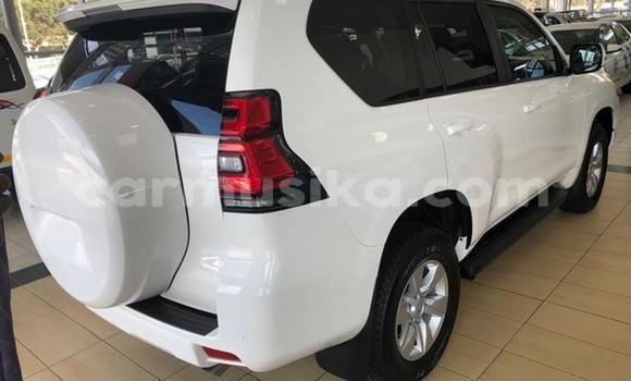 Acheter Occasion Voiture Toyota Land Cruiser Prado Blanc à Beitbridge, Matabeleland South Acheter Occasion Voiture Toyota Land Cruiser Prado Blanc à Beitbridge, Matabeleland South