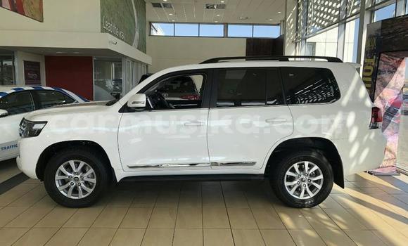 Tenga Tsaru Toyota Land Cruiser Prado Chena Mota in Beitbridge in Matabeleland South Tenga Tsaru Toyota Land Cruiser Prado Chena Mota in Beitbridge in Matabeleland South