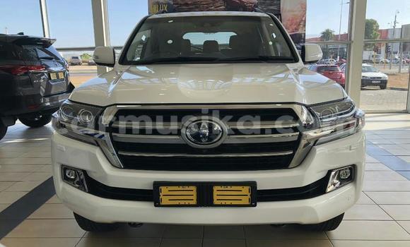 Tenga Tsaru Toyota Land Cruiser Prado Chena Mota in Beitbridge in Matabeleland South Tenga Tsaru Toyota Land Cruiser Prado Chena Mota in Beitbridge in Matabeleland South