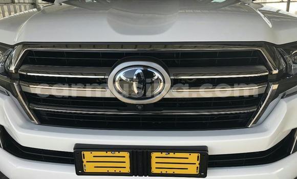 Tenga Tsaru Toyota Land Cruiser Prado Chena Mota in Beitbridge in Matabeleland South Tenga Tsaru Toyota Land Cruiser Prado Chena Mota in Beitbridge in Matabeleland South