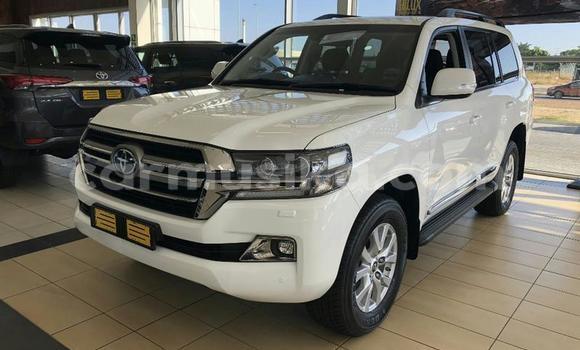 Tenga Tsaru Toyota Land Cruiser Prado Chena Mota in Beitbridge in Matabeleland South Tenga Tsaru Toyota Land Cruiser Prado Chena Mota in Beitbridge in Matabeleland South
