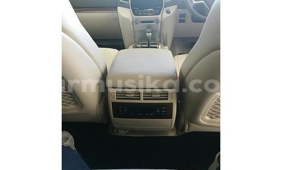 Tenga Tsaru Toyota Land Cruiser Prado Chena Mota in Beitbridge in Matabeleland South Tenga Tsaru Toyota Land Cruiser Prado Chena Mota in Beitbridge in Matabeleland South