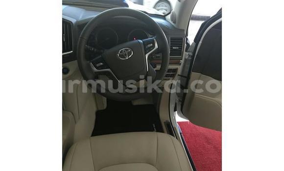 Tenga Tsaru Toyota Land Cruiser Prado Chena Mota in Beitbridge in Matabeleland South Tenga Tsaru Toyota Land Cruiser Prado Chena Mota in Beitbridge in Matabeleland South