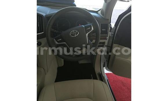 Tenga Tsaru Toyota Land Cruiser Prado Chena Mota in Beitbridge in Matabeleland South Tenga Tsaru Toyota Land Cruiser Prado Chena Mota in Beitbridge in Matabeleland South