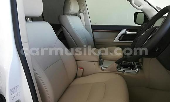 Tenga Tsaru Toyota Land Cruiser Prado Chena Mota in Beitbridge in Matabeleland South Tenga Tsaru Toyota Land Cruiser Prado Chena Mota in Beitbridge in Matabeleland South