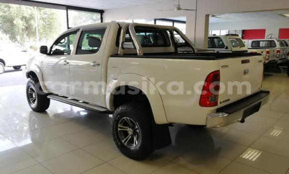 Acheter Occasion Voiture Toyota Hilux Blanc à Beitbridge, Matabeleland South Acheter Occasion Voiture Toyota Hilux Blanc à Beitbridge, Matabeleland South